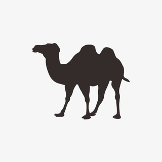 骆驼出海（海外项目开发）