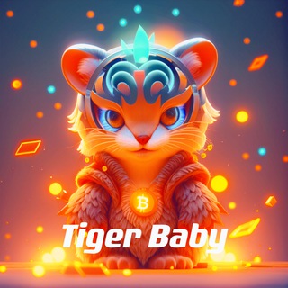 Tiger Baby(宝贝虎)万倍启航