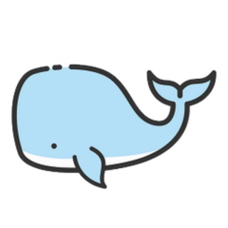 白鲸加速器VPN