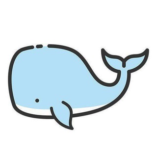 白鲸VPN客服中心
