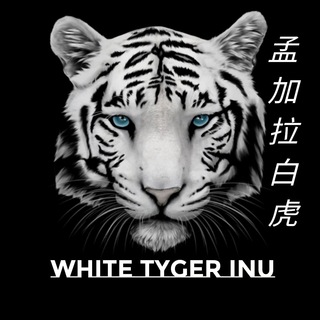 White Tiger Inu 孟加拉白虎 | BSC