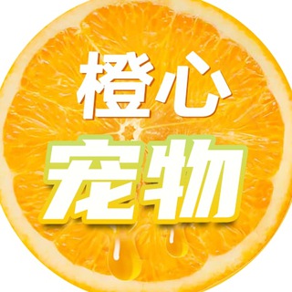 【橙心】宠物交流show