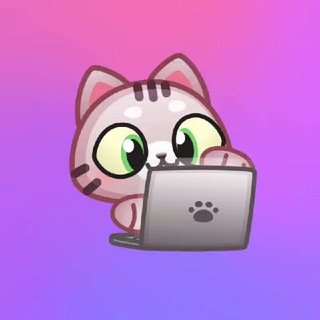 小猫咪的IT仓库更新频道