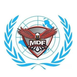 MDF全球运营中心❄️7中文组