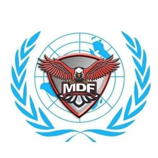 MDF全球运营中心❄️9中文组