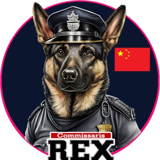 🇨🇳CN Kommissar REX | Since 1994