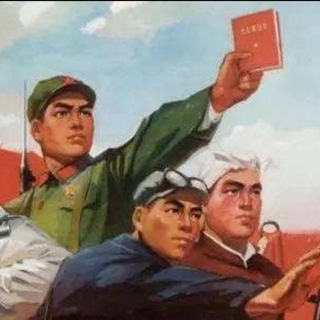 大陆共产主义革命青年团🌅