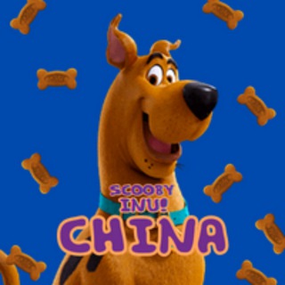 Scooby Inu Chinese Group
