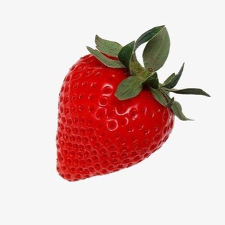 草莓🍓采摘园🍉