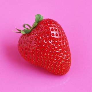 草莓🍓采摘基地🍉