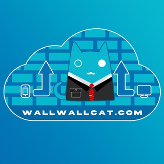 WallWallCat & 墙墙猫 鸽子交流群
