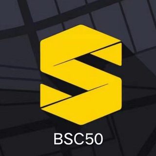 BSC50-协议，中文社区