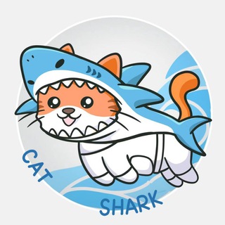 Cat Shark中文社区🇨🇳