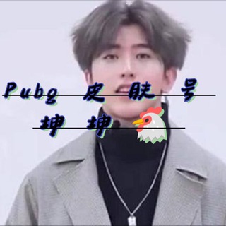 Pubg国际服皮肤号 坤坤🐔