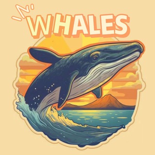 ETH以太巨鯨🐋｜ETH Whales
