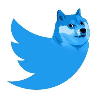 Twitter Coin 民间散户社区（Chinese）