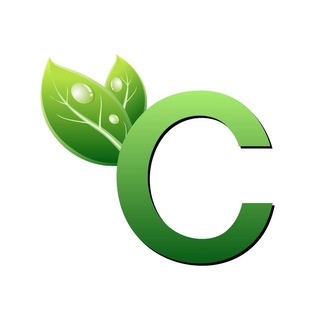 碳中和C(合约尾号6条6)