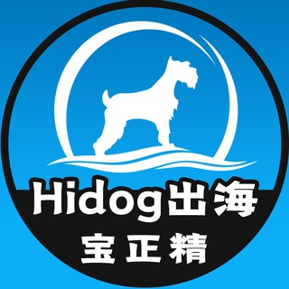 Hidog宝正精-出海资源交流群