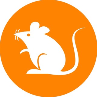 Rats 中文社区