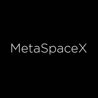 MetaSpaceX