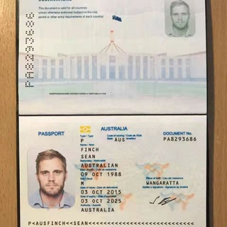 全球护照驾驶证