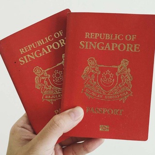 ⑤新加坡银行开户，多国护照办理