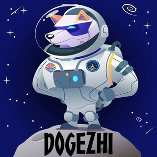 DogeZhi_Official Presale Live | Audited | 90BNB HC