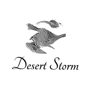 Desert Storm (Official)