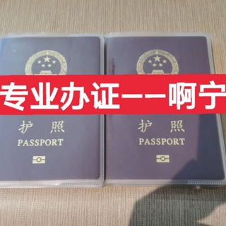 护照 旅行证 续签 清关 落地签 机票安全回国