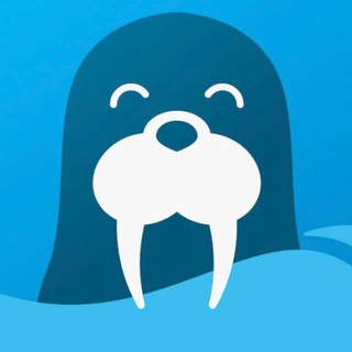 海象app-注意事项‼️‼️‼️