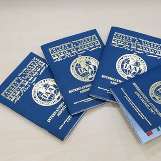 菲律宾业务🇨🇿 国际驾照&移民局签证