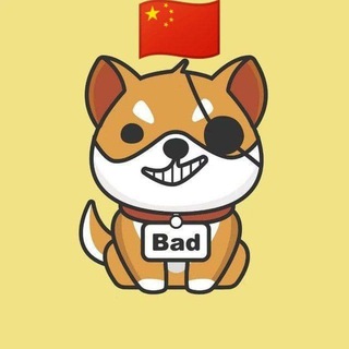 BadDoge中文社区🇨🇳