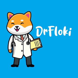 DR FLOKI 中国 🇨🇳