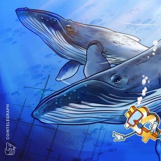 🇨🇳 Chinese Crypto whales 🐋